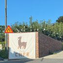 동구릉로460번길 이미지