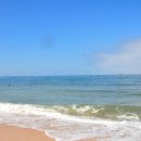 푸른바다 이미지