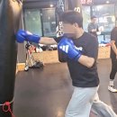 성남 탑 복싱 이미지