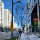 마디척의원 이미지