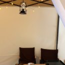 꼰대냉삼 이미지