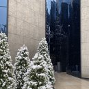 272-2093 | 베라(VERA) 한남점: 데이트, 모임하기 좋은 이탈리안 레스토랑 내돈내산 후기 (메뉴, 주차정보)