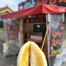 서대전육교밑 이미지