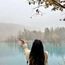 주식회사 신비 | 일본 북해도 삿포로 투어 여행 일일 택시 투어 비에이 신발 덕아웃 후기