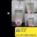 세정스크린골프 이미지