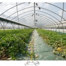 참외생태학습원 이미지