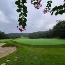 뉴코리아 이미지