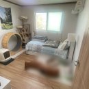 강산1공인중개사사무소 이미지