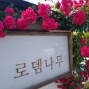 로뎀옷가게 이미지