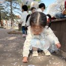 멍멍이와 야옹이 나들이 이미지