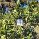 야베스농장 이미지