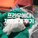리젠메디 | 세종 프라우메디 산부인과 제왕절개 둘째출산 후기(비용포함)