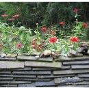 칠장사 입구 이미지