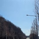 마스터즈 | 예천군민 마스터즈 단축 마라톤 대회 참가 후기