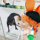 숲아띠어린이집 이미지