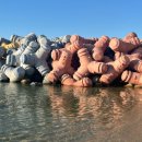 파스텔 야영장 | 강릉가면 꼭 가봐야 할 곳 TOP🔺