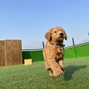 빅포클럽 이미지