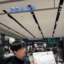 남성관 | 신혼여행#16 파리에서 프라다 샀는데… 한국보다 50만원 싸게 산 후기