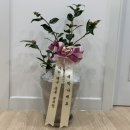 기탄사고력교실혁신새론학원