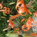 준선농장 이미지