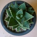 김재성농장 이미지