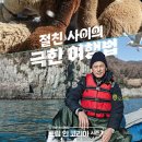 트립인 지디넷코리아