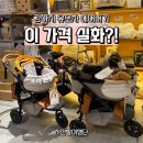 도그에어 | 강아지 에어버기 유모차, 오사카에서 이 가격 실화? P2 도그앤캣 후기