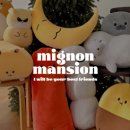 미뇽 캣 이미지