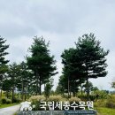6724 | 국립세종수목원 입장료 식당 등 아이와 다녀온 후기