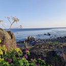 소떼목장 이미지