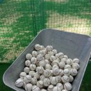 실내야구연습장 이미지