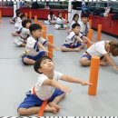 용인대 미래 태권도 이미지