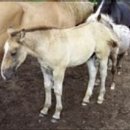 말코농장 이미지