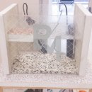 주식회사 비엠코리아 이미지