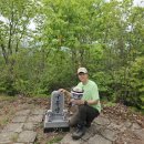 무릉도원면-38 이미지