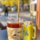 장미원내부 | 에버랜드 내부 카페 추천 뷰맛집 테라로사카페 후기