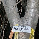 해제남초등학교 이미지