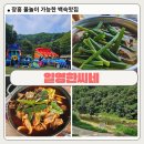 한씨네 | 수도권 장흥 수영장 계곡 백숙 맛집 일영한씨네 솔직후기