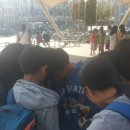 (학교)초당초 이미지