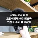 펫스토리 | 강아지분양 처음 고민이라면 아이러브독 인천점 후기 솔직담백