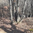 우면산3-34 이미지