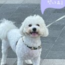 덕수농수산물