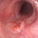 장새로내과의원 이미지