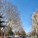 박가원옻닭 이미지