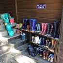 파인펜션 이미지