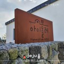 제주도키즈풀빌라빈스 | 제주도 키즈 풀빌라 아이올레 올레동 솔직한 내돈내산 후기