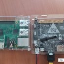 홍파이