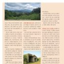 (주)더나은세상
