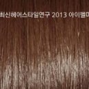헤어칼라 Daum카페