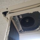 아지파파 이미지